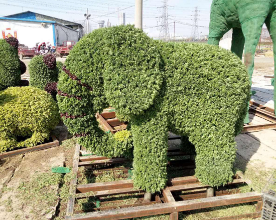 廠區(qū)展示